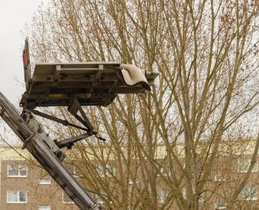 Möbellift in Grevenbroich: Möbellift zwischen kahlen Bäumen vor einem Gebäude