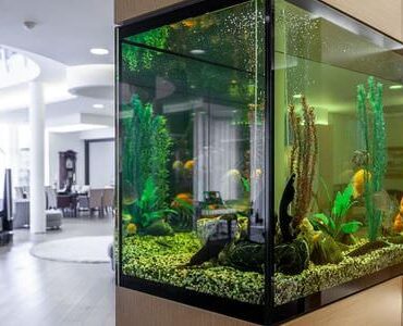 Aquarium-Umzug Grevenbroich: Großes Aquarium in einem modernen Wohnzimmer
